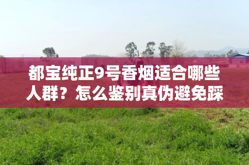 都宝纯正9号香烟适合哪些人群？怎么鉴别真伪避免踩坑？